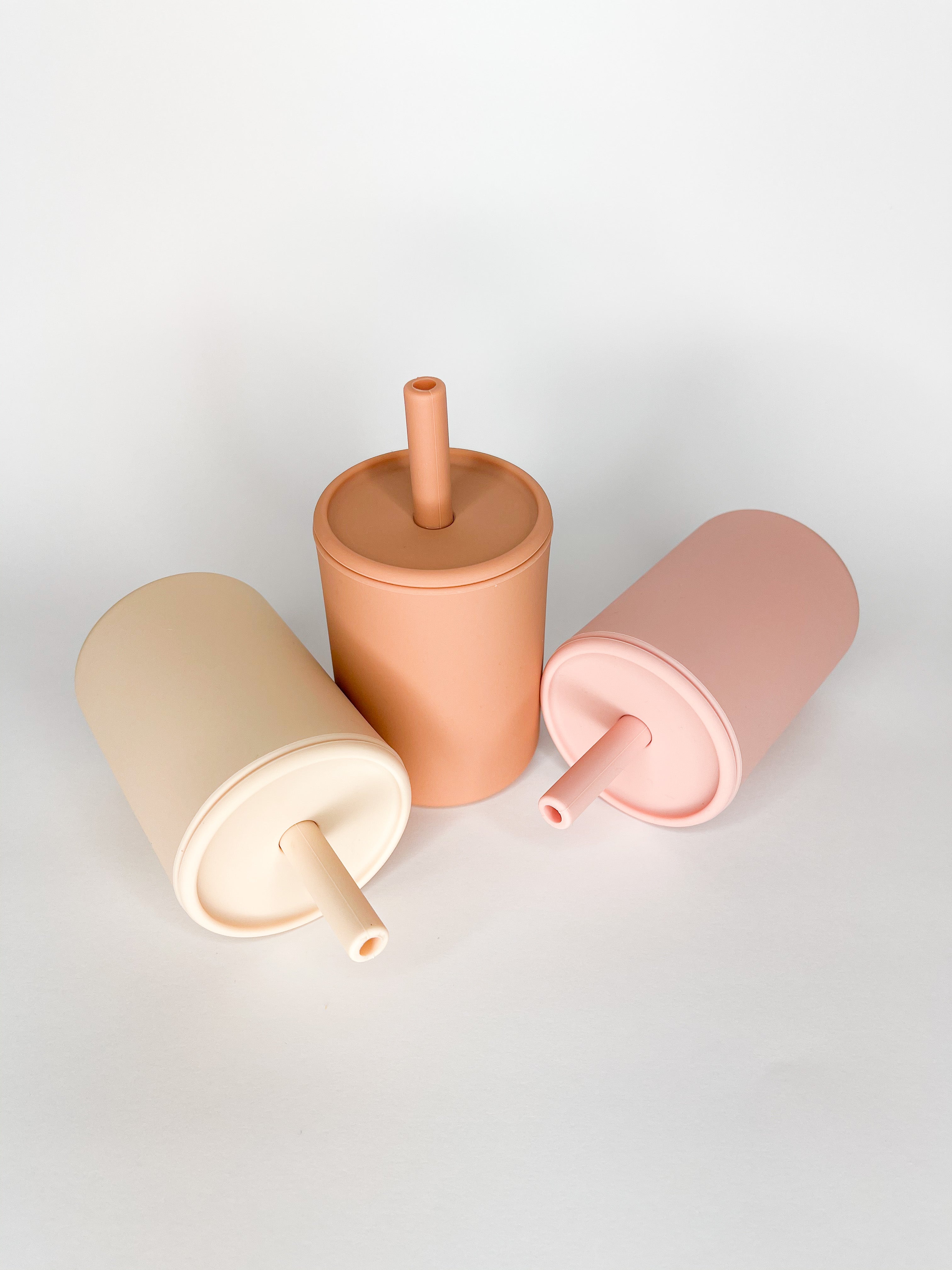 Lunchboxes and Sippy Cups